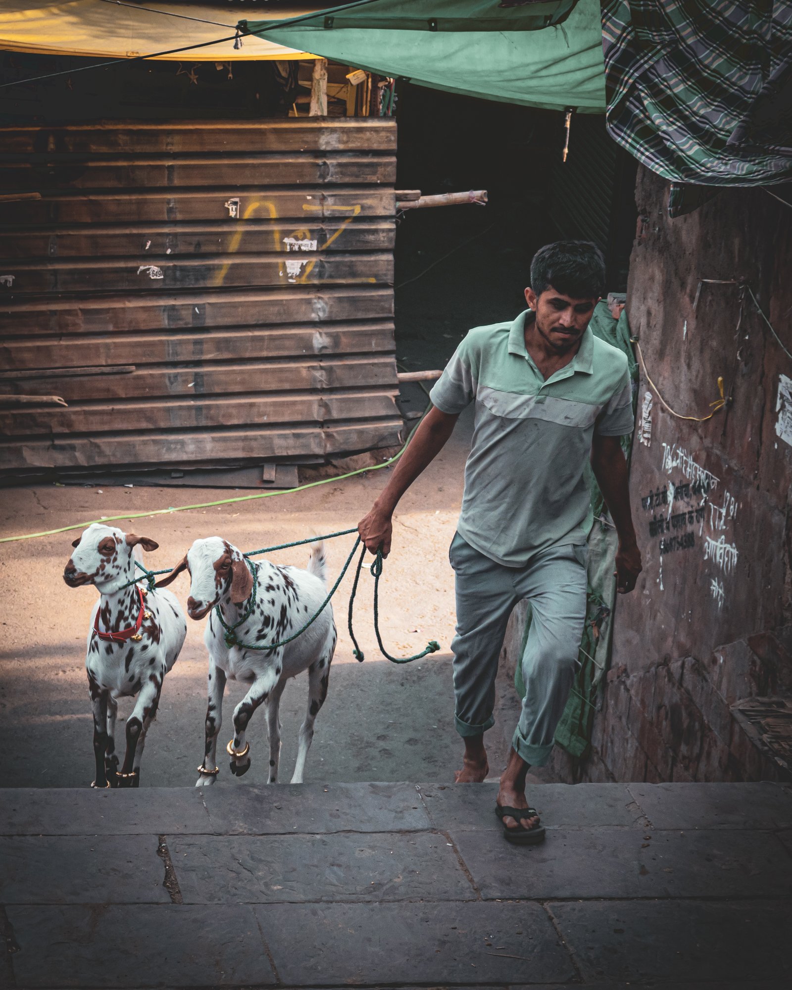 Morning Chai, Chandni Chowk